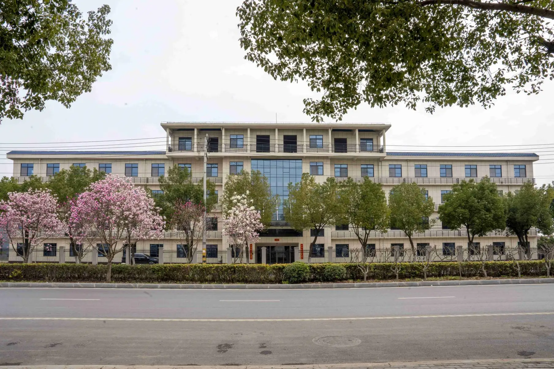 公司简介
